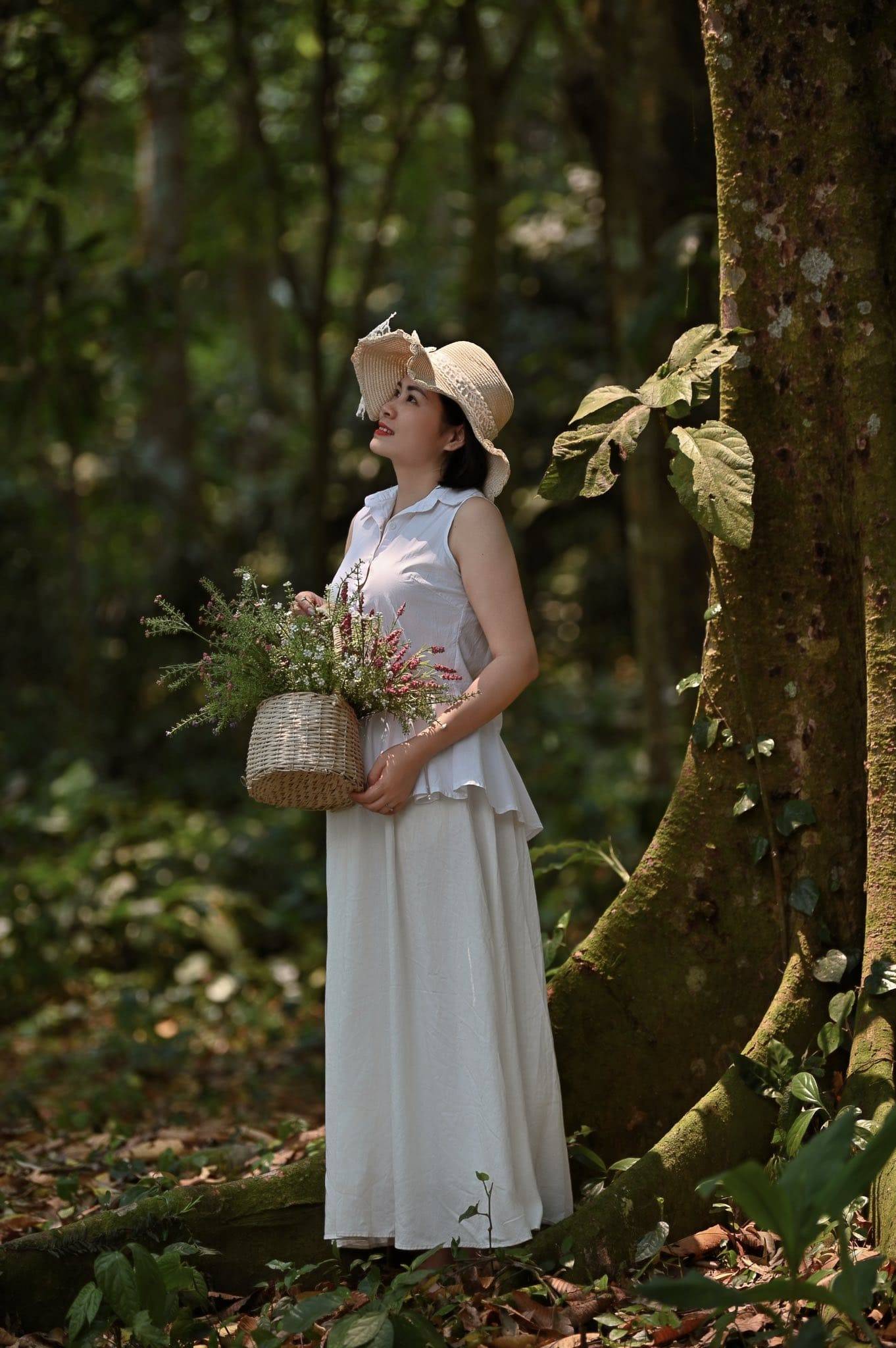 mùa bướm cúc phương