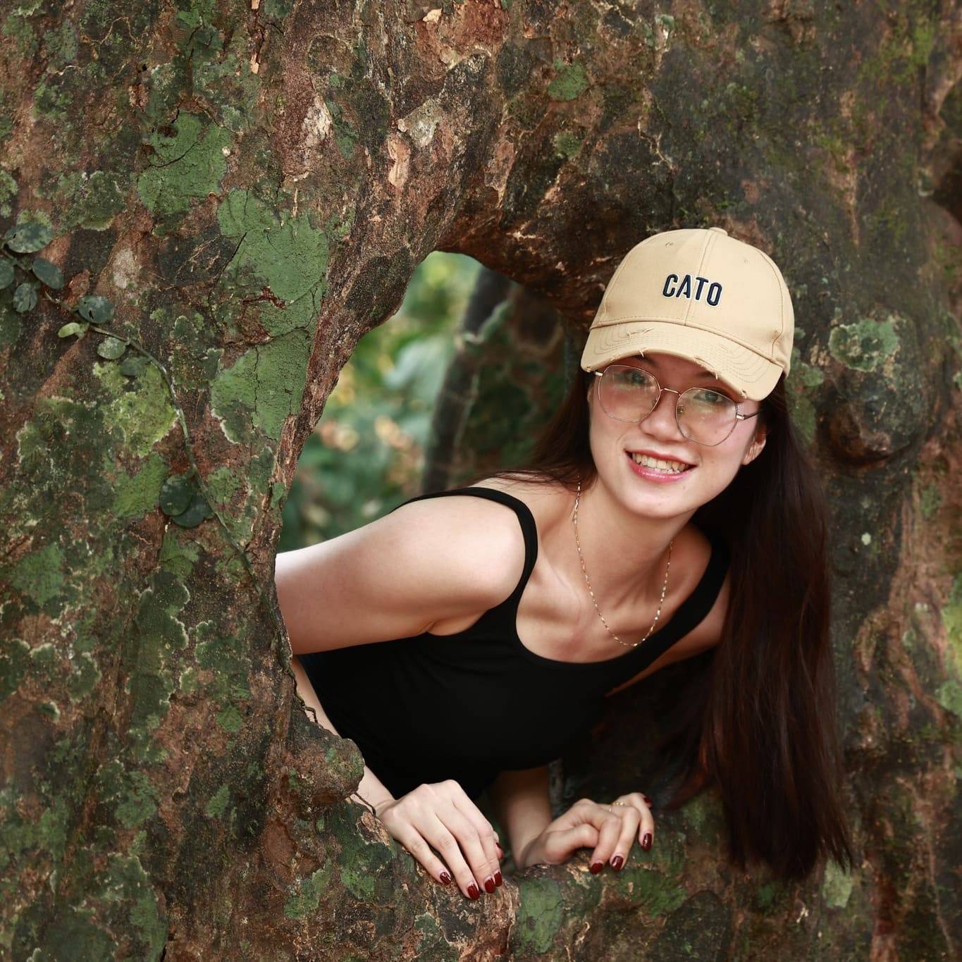 mùa bướm cúc phương