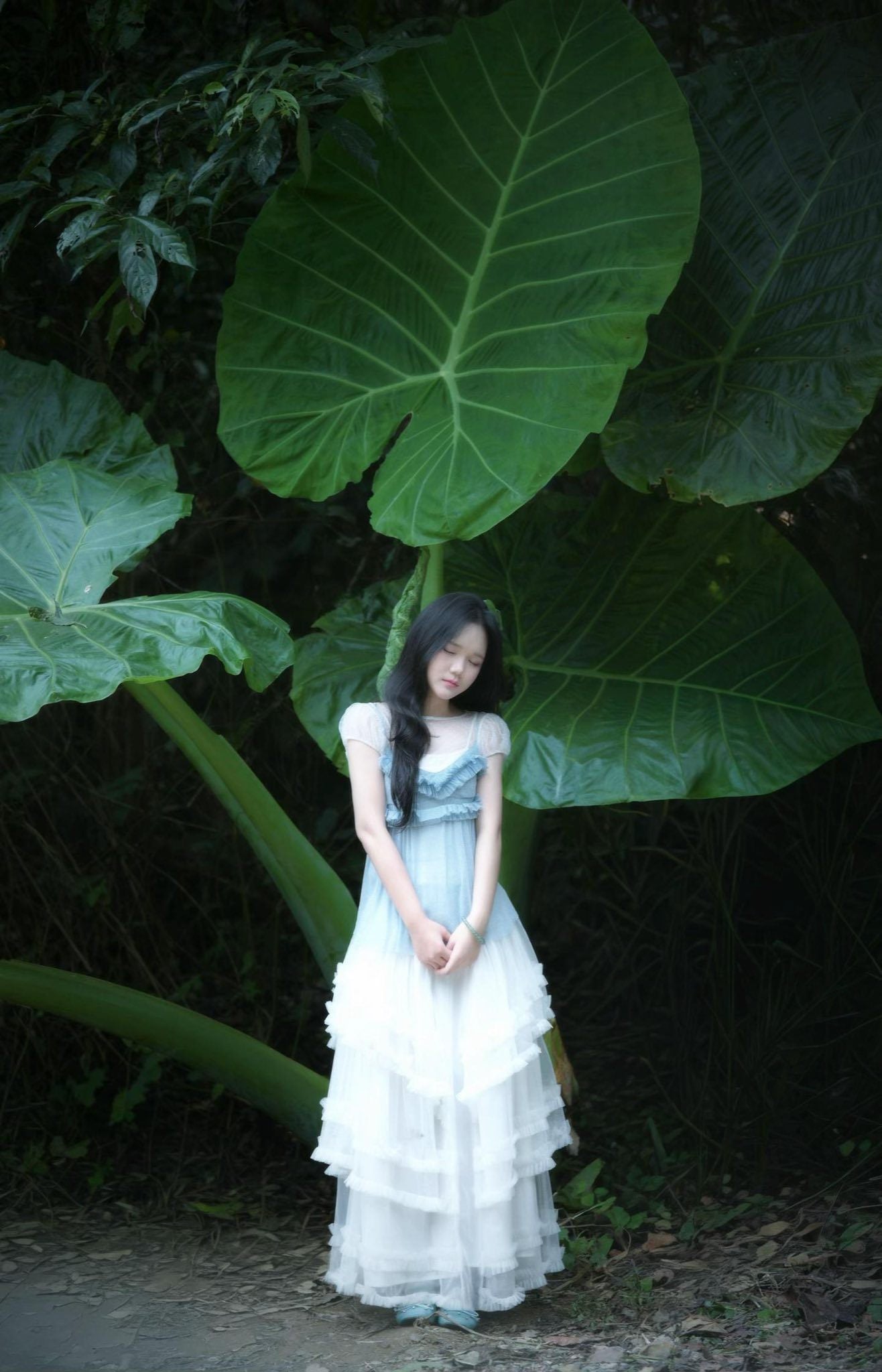 mùa bướm cúc phương