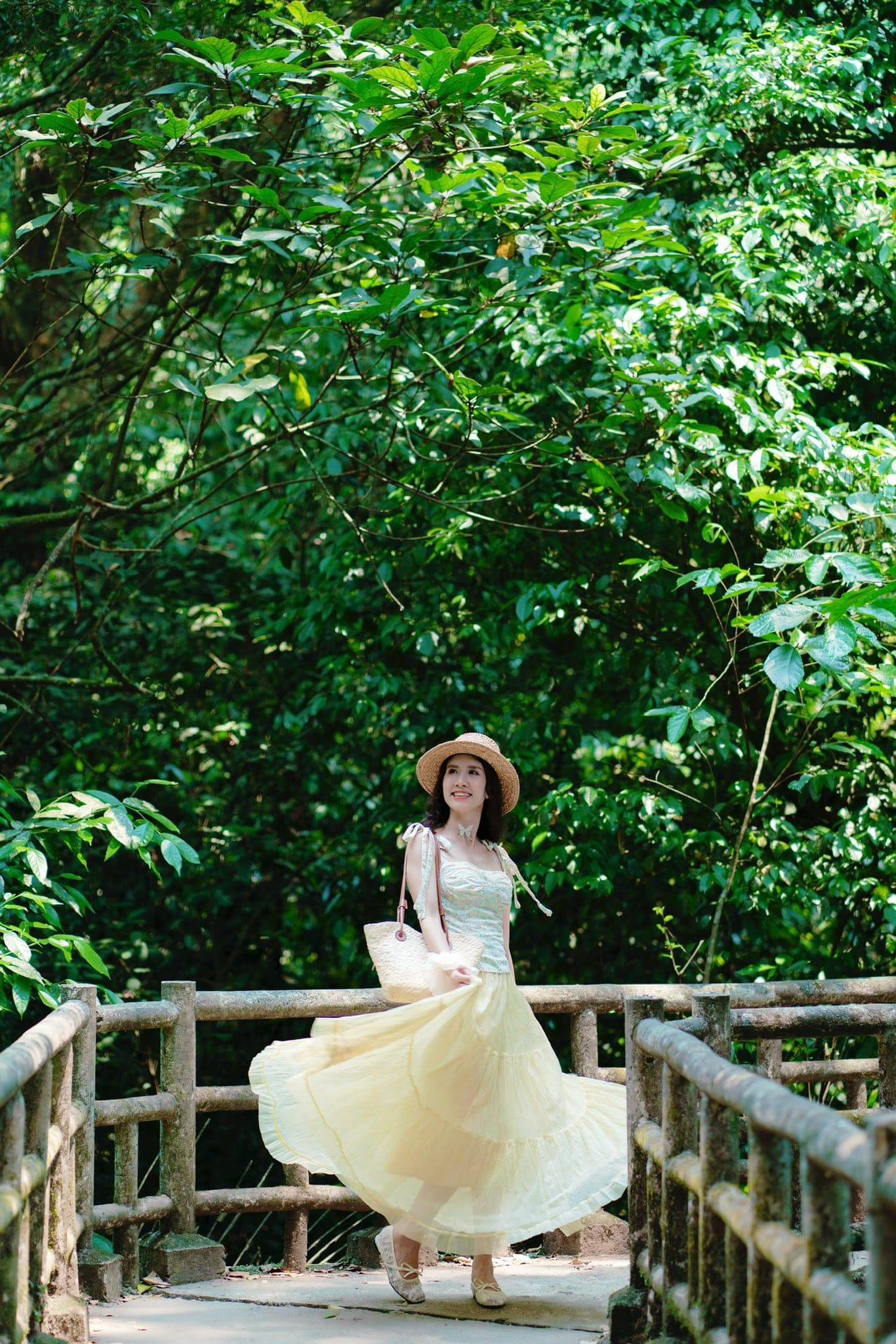 mùa bướm cúc phương