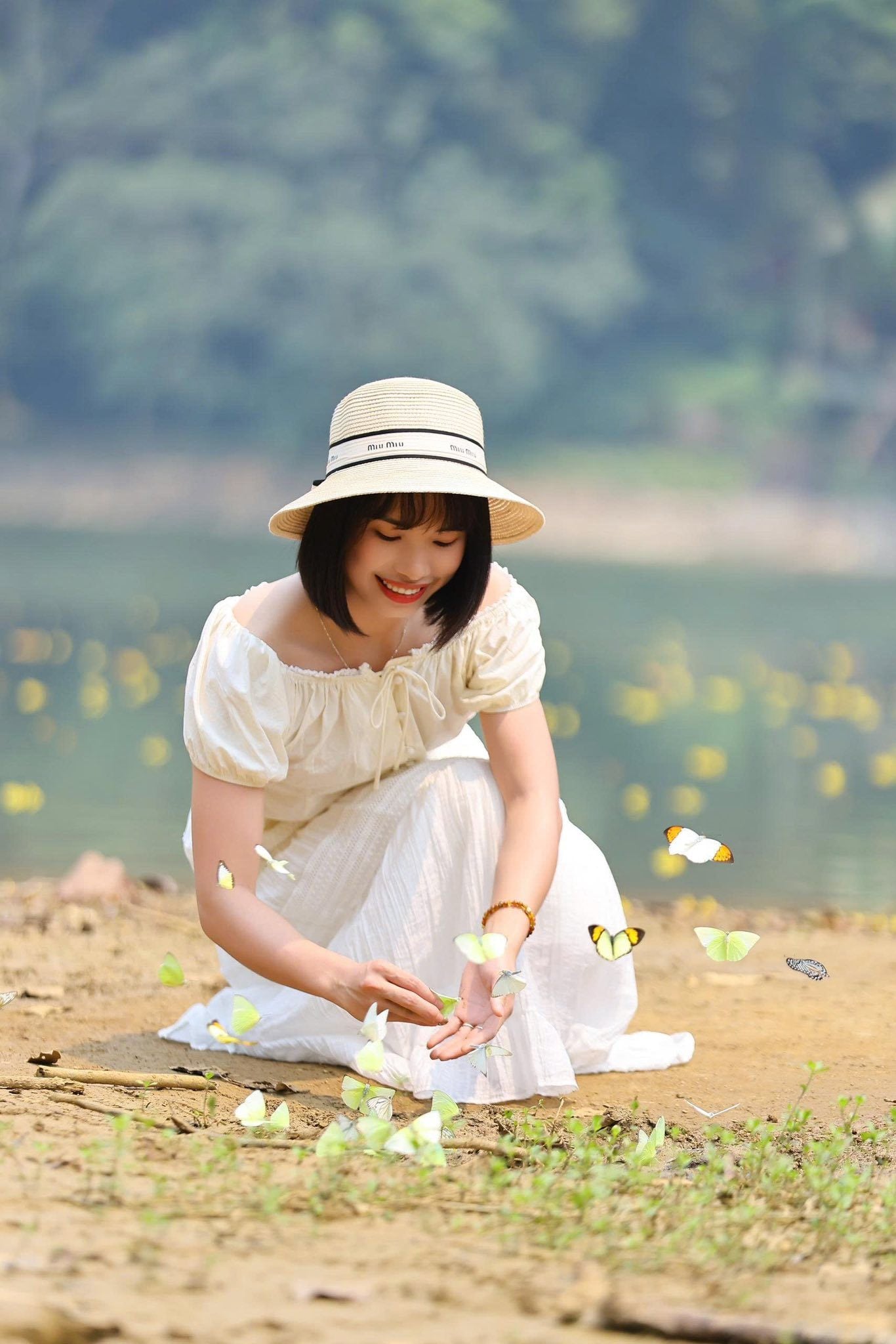 mùa bướm cúc phương