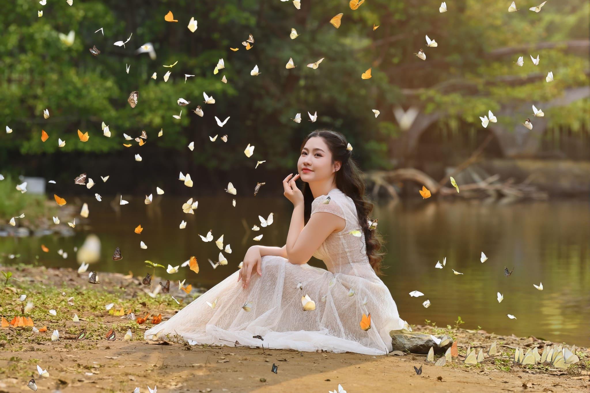 mùa bướm cúc phương