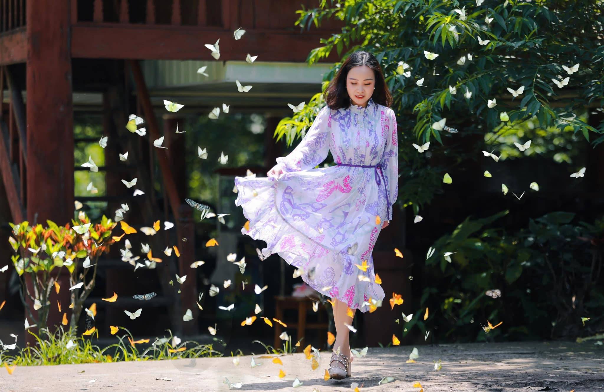 mùa bướm cúc phương