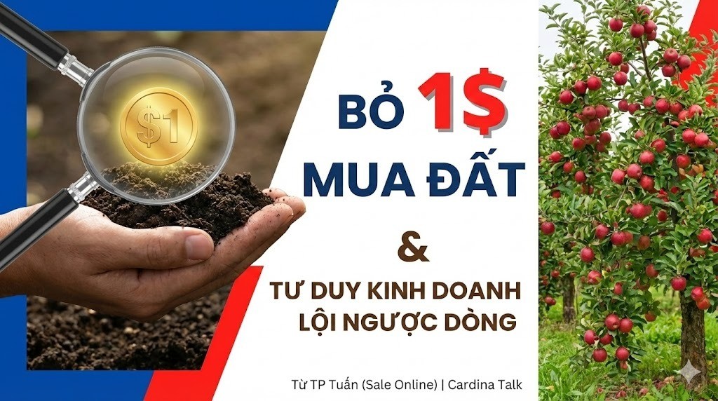 Bỏ 1$ mua đất & Tư duy kinh doanh lội ngược dòng từ TP Tuấn