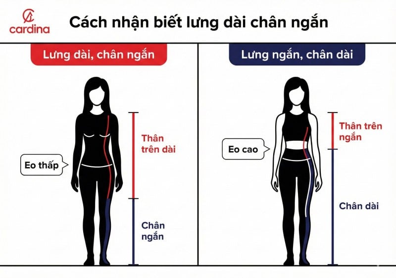 lưng dài chân ngắn mặc gì