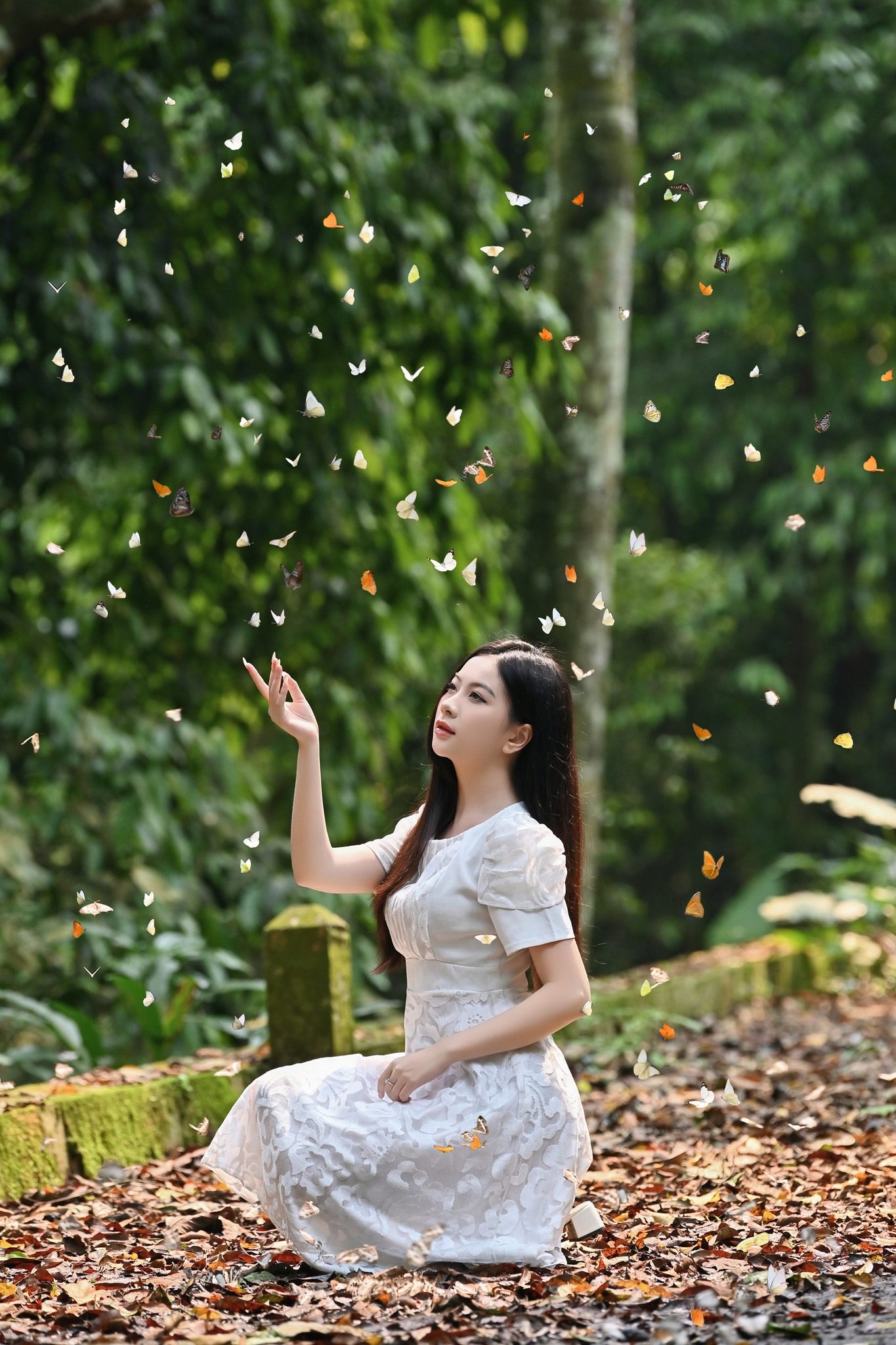 Đưa tay 