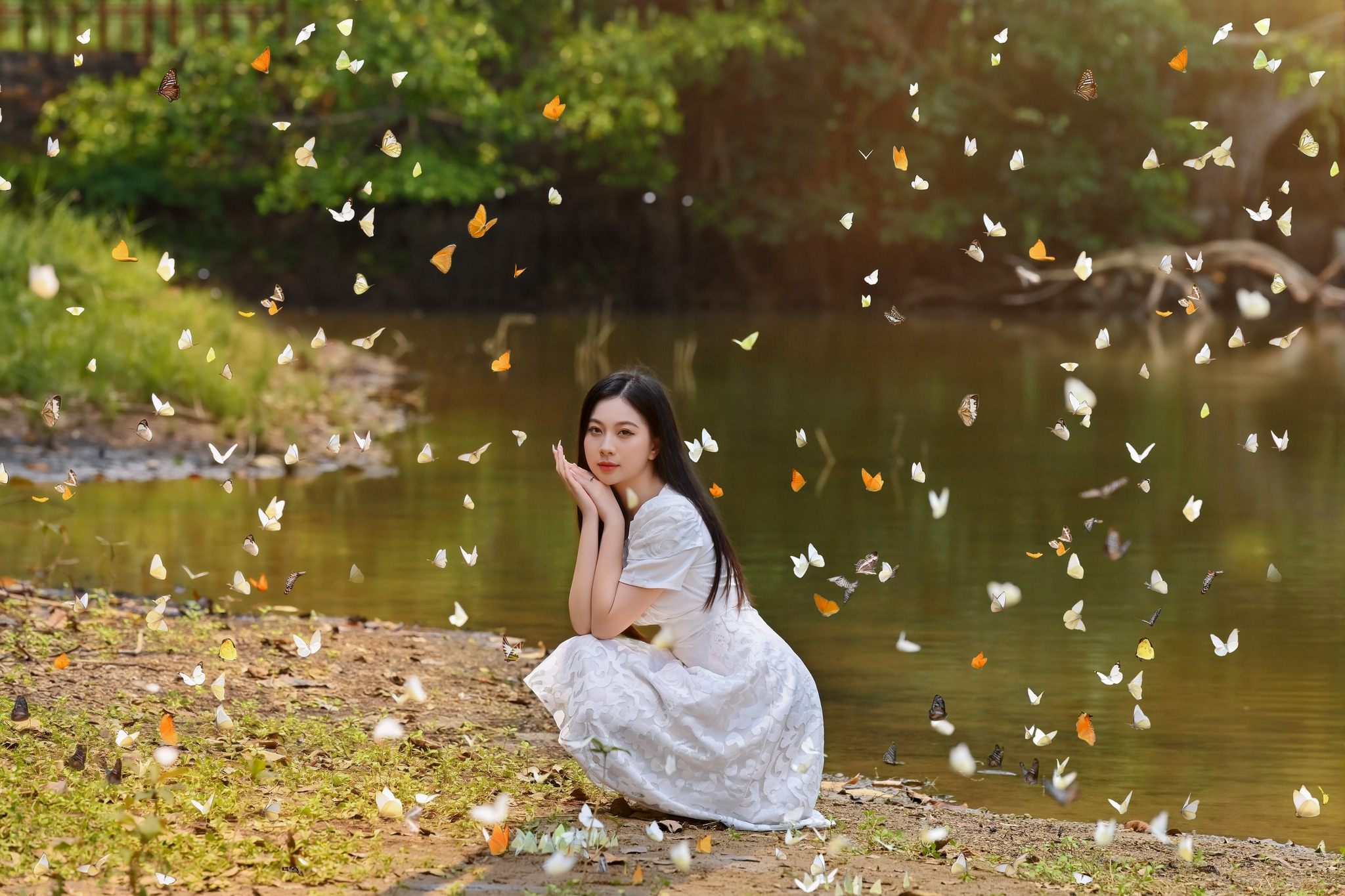 Ngồi giữa thảm bướm và chụp góc từ trên xuống