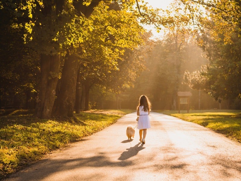 stt cuộc sống bình dị