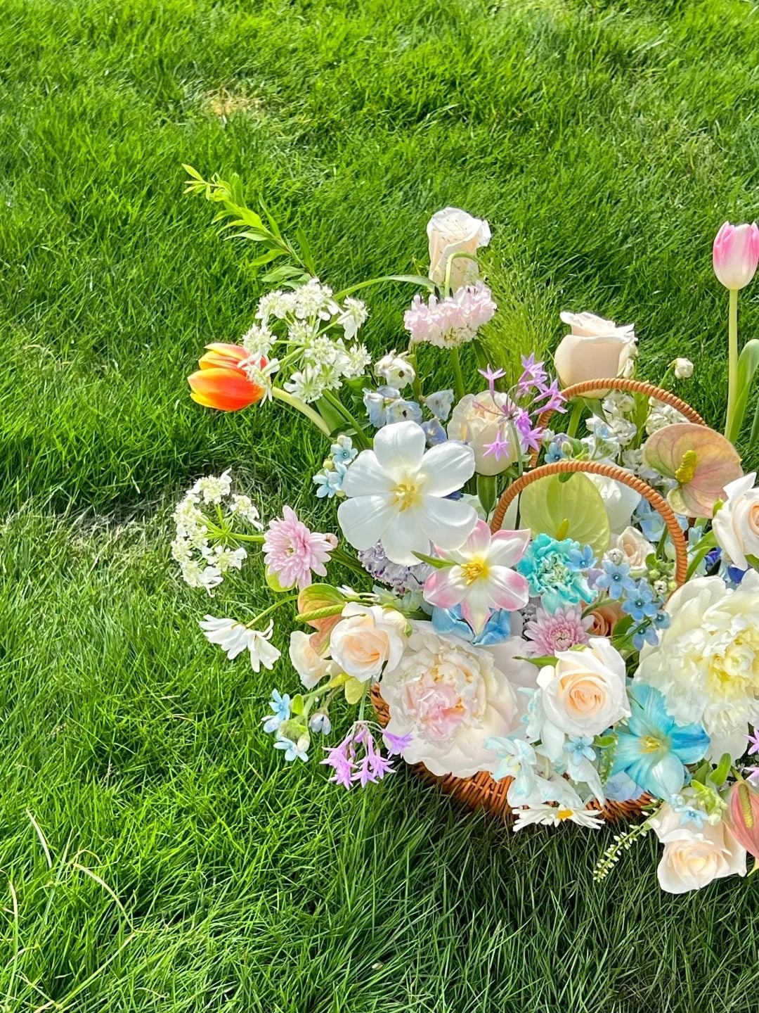 Nằm trên cỏ với hoa