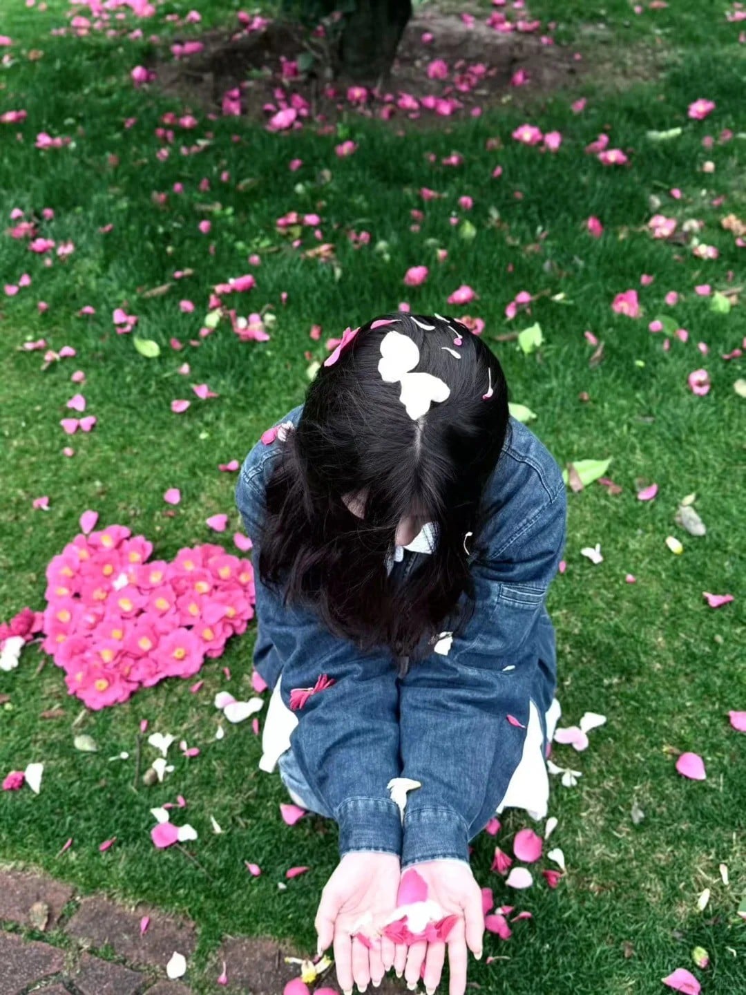 Tung nhẹ cánh hoa