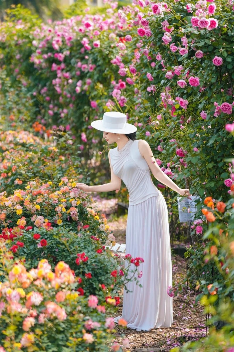 Quý cô thanh lịch với mũ rộng vành