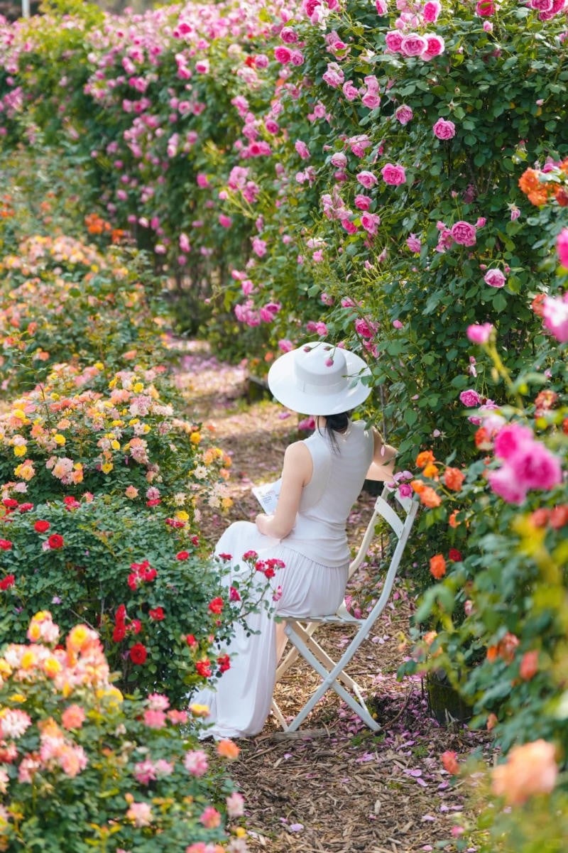 Tĩnh lặng ngồi ngắm hoa (Góc sau lưng)