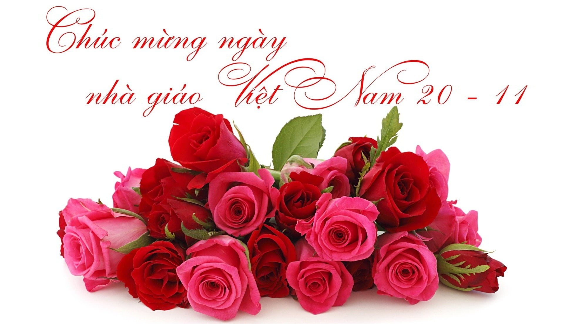 Thiệp 20/11 phong cách đơn giản, tinh tế