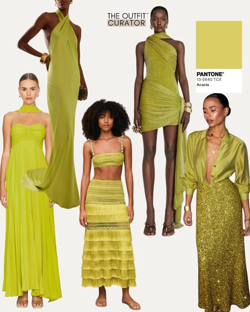 Acacia – Vàng Ánh Xanh Tươi Sáng