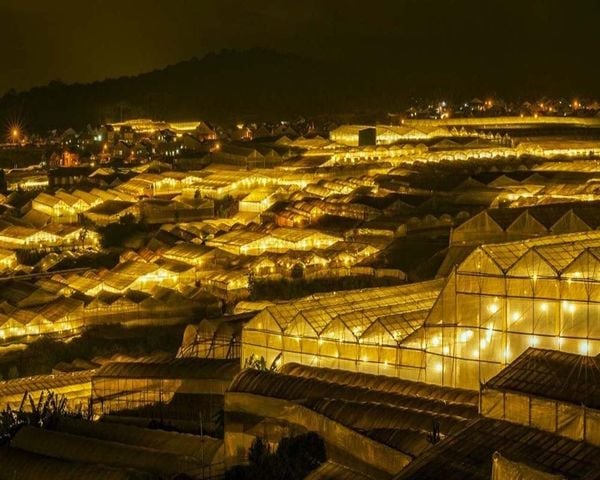 review du lich da lat