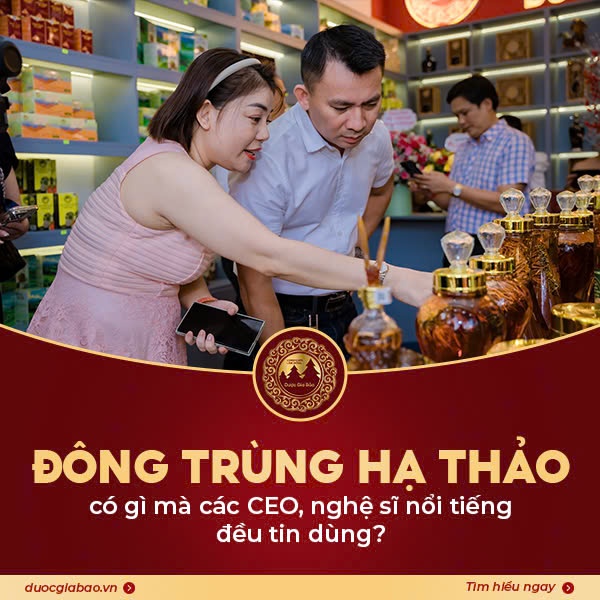 dong trung ha thao co gi ma duoc tin dung