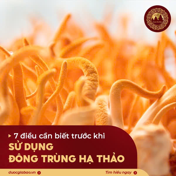 su dung dong trung ha thao dung cach