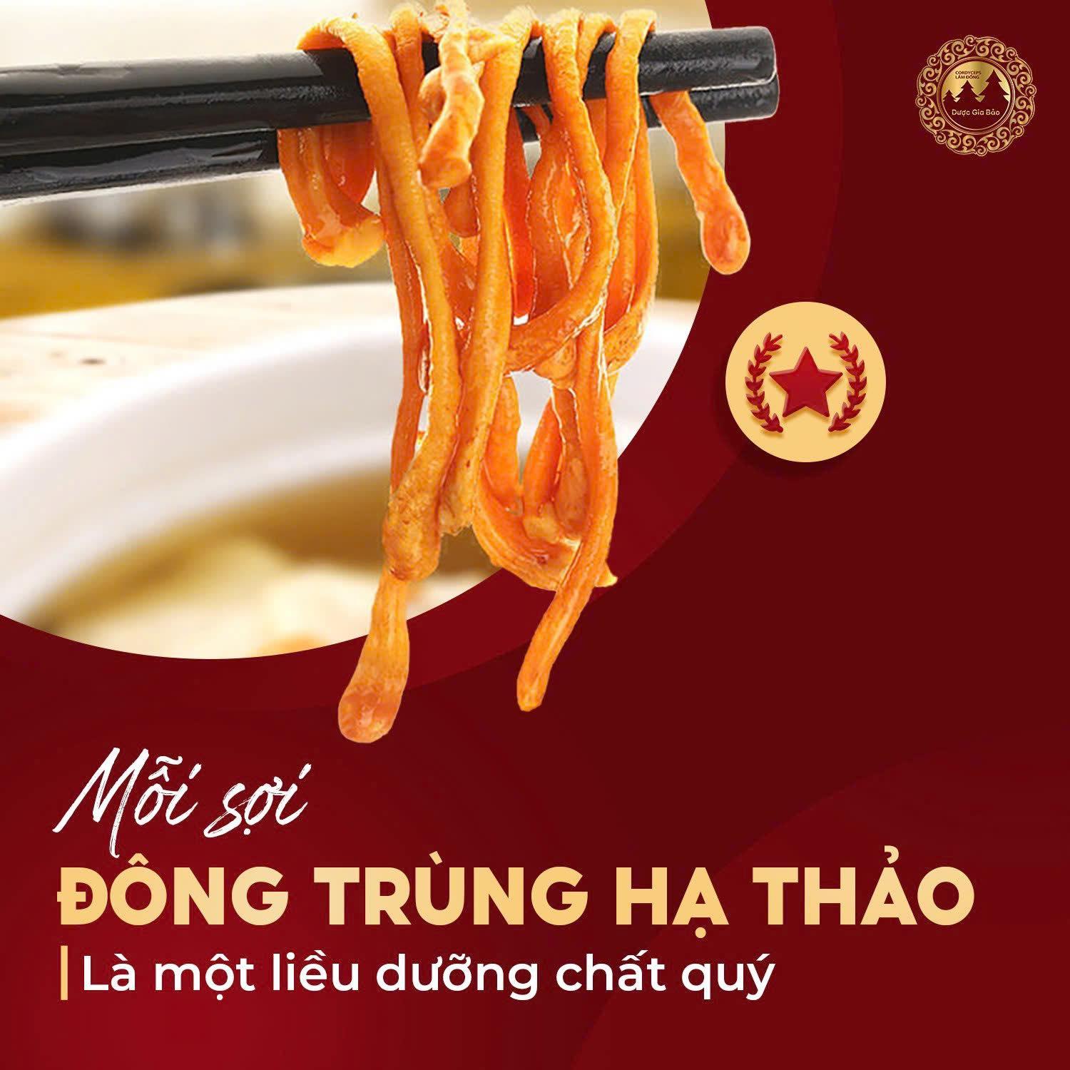 cong nghe nuoi cay nam dong trung ha thao