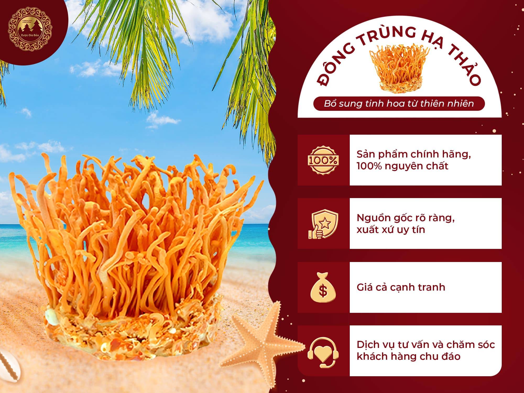 cong nghe nuoi cay nam dong trung ha thao