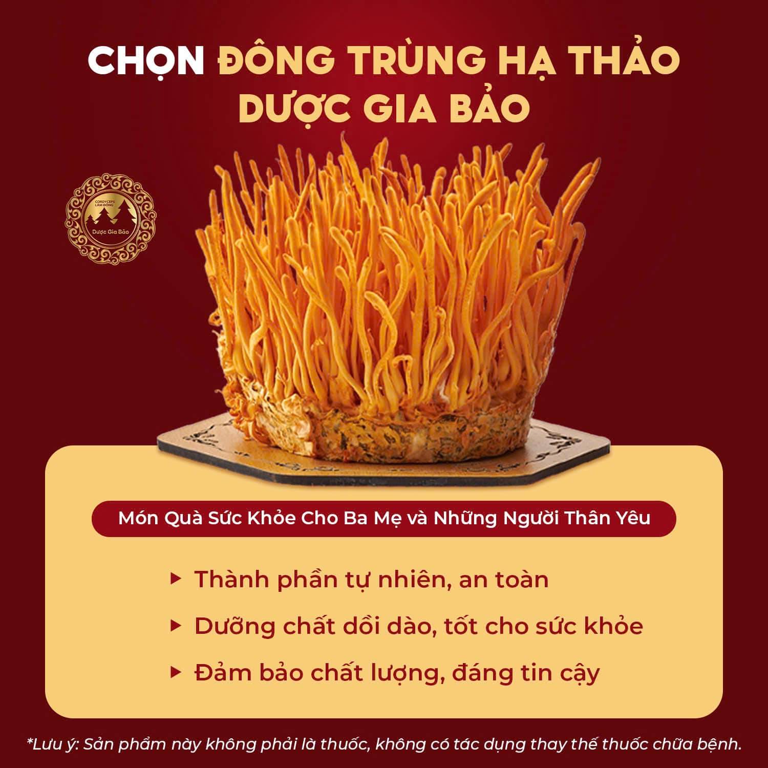 phan biet dong trung ha thao that gia