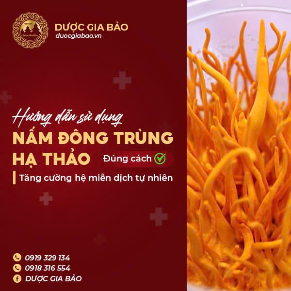 su dung nam dong trung ha thao dung cach