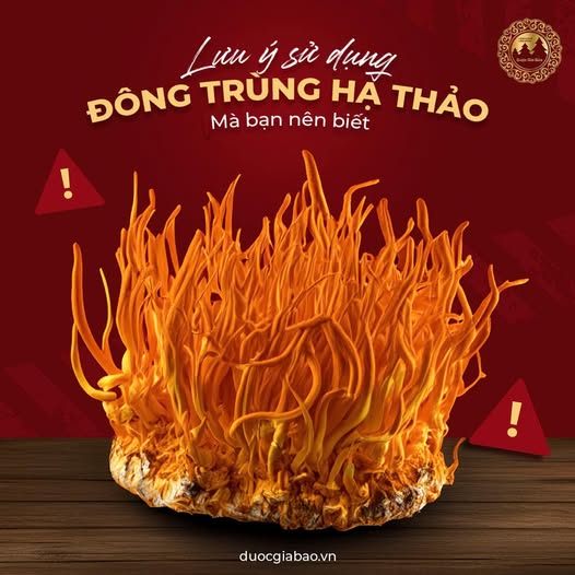 cach che bien dong trung ha thao