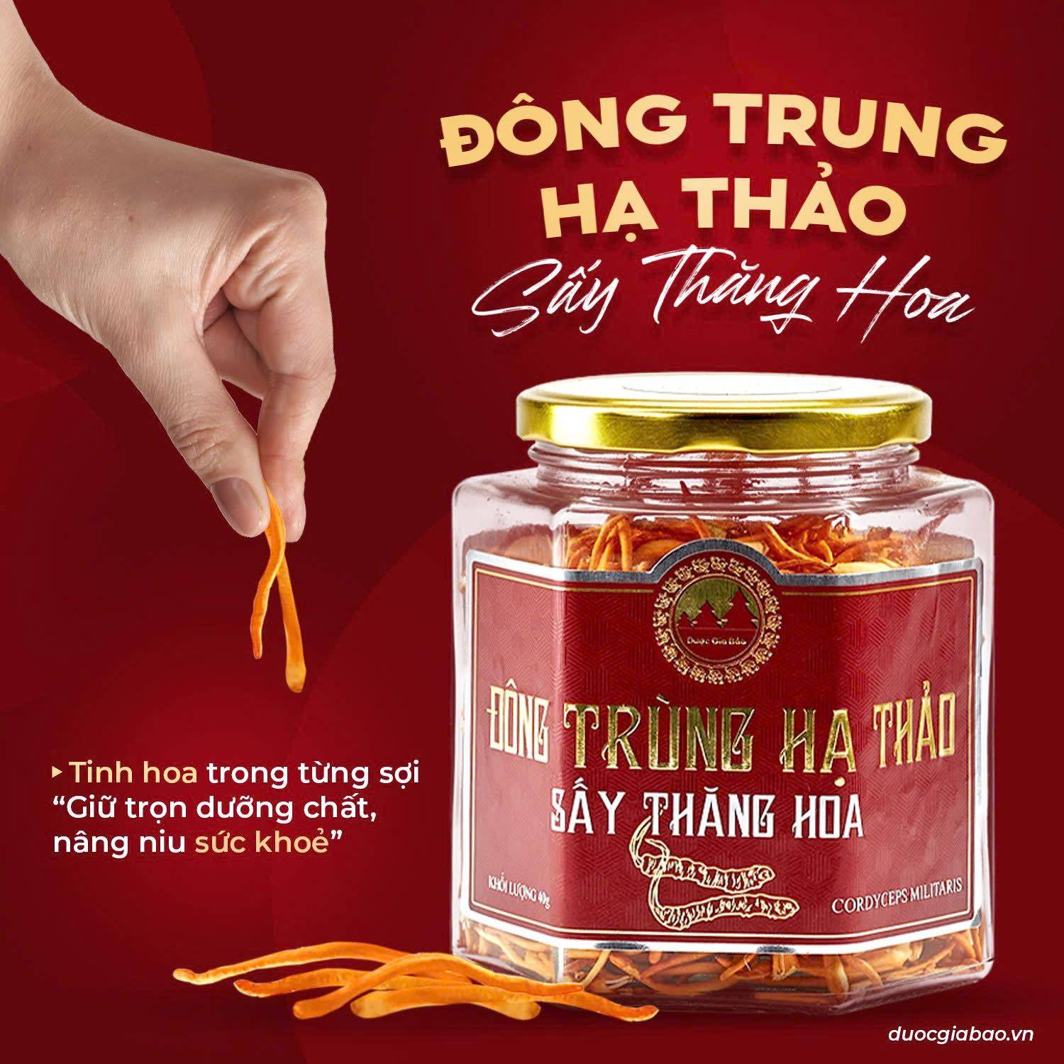 dong trung ha thao xu huong cham soc suc khoe