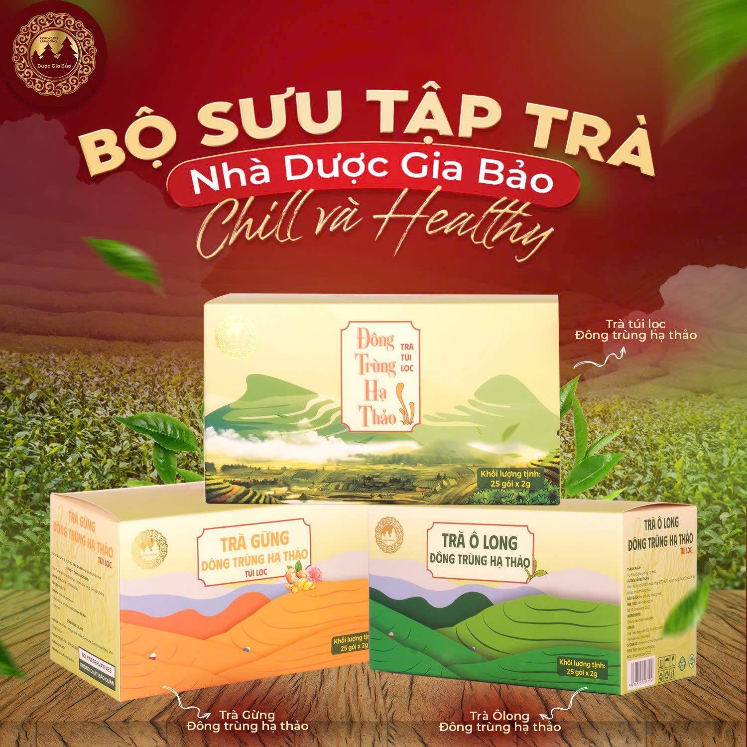 dong trung ha thao bo doi vang mua nang nong