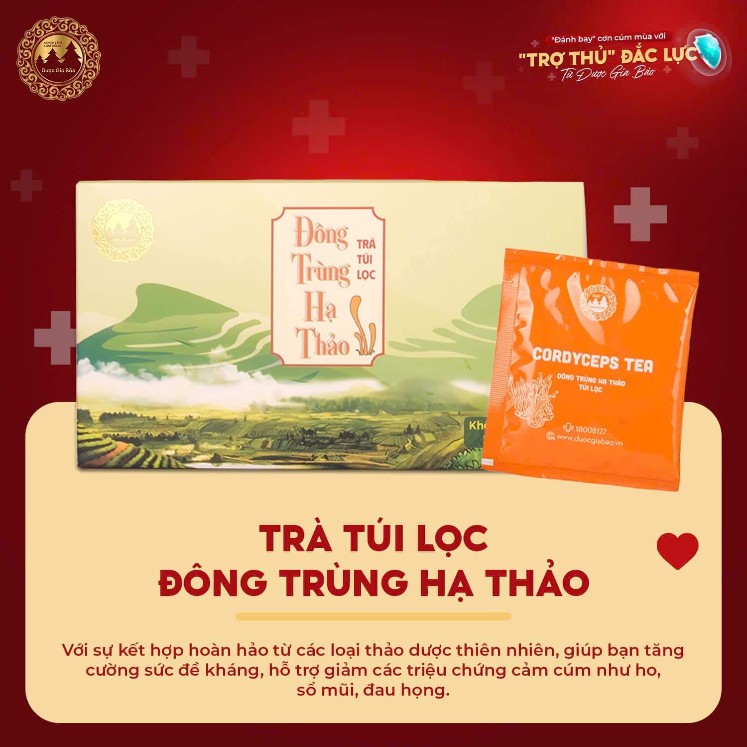 dong trung ha thao bo doi vang mua nang nong