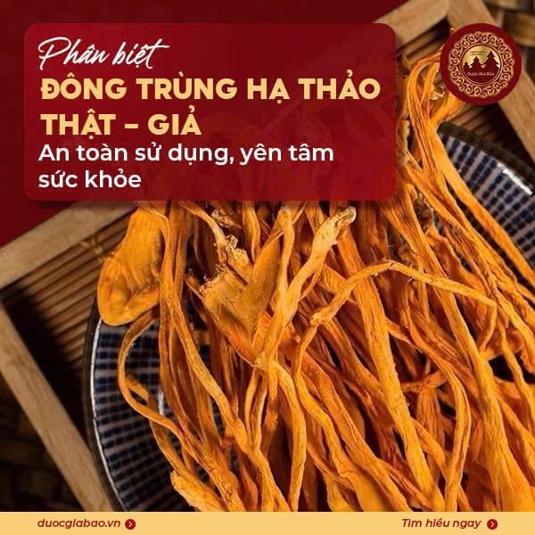 phan biet dong trung ha thao that gia