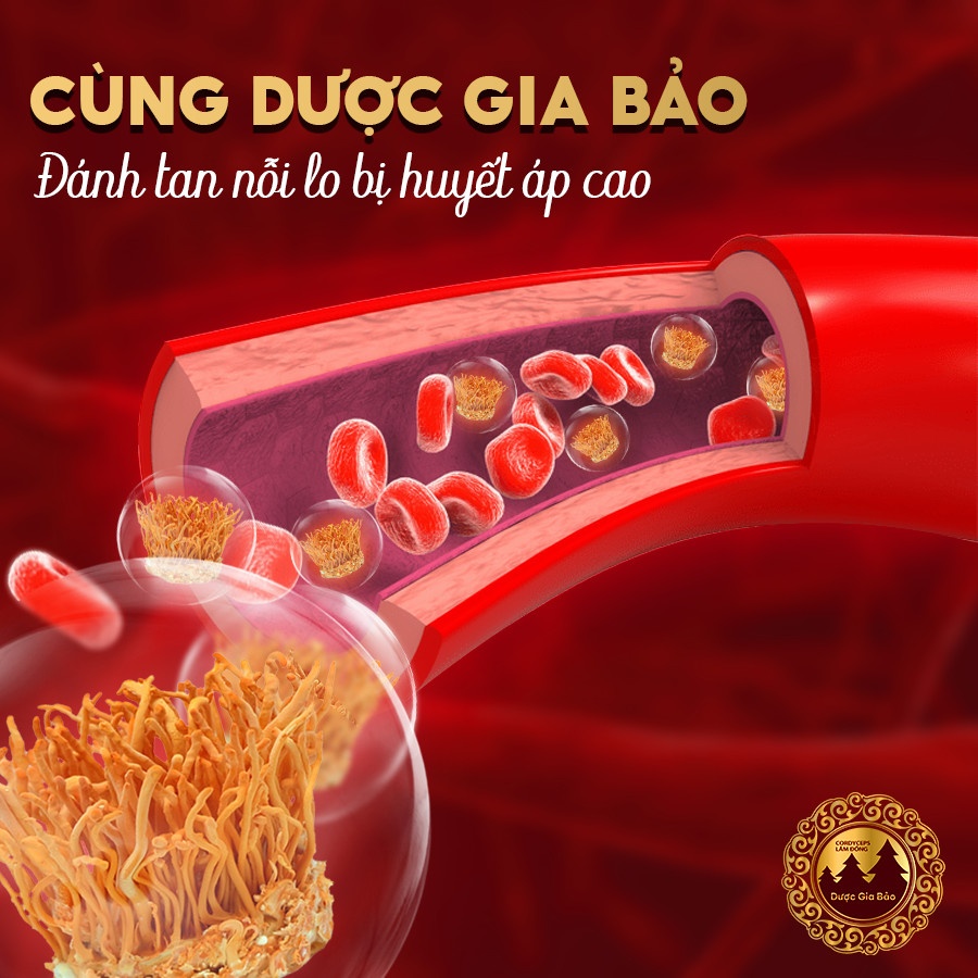 dong trung ha thao cho nguoi tieu duong