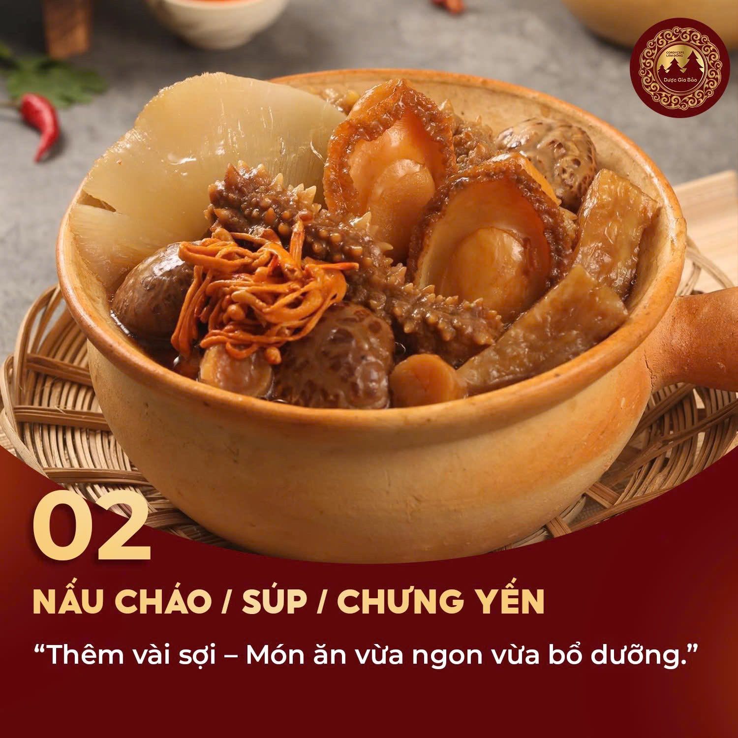 dong trung ha thao co gi ma duoc tin dung