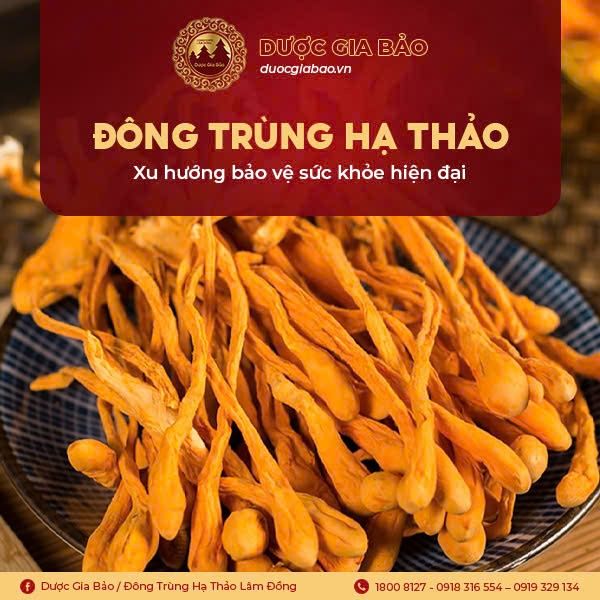 dong trung ha thao xu huong cham soc suc khoe