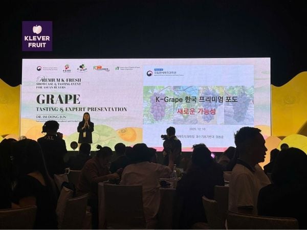 Klever Fruit Tham Gia K-Fresh Showcase & Tasting Event – Hành trình kết nối tinh hoa nông sản Hàn Quốc bằng hương vị và chuyên môn