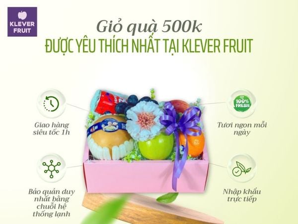 Top Mẫu Giỏ Trái Cây 500K Từ Klever Fruit Được Khách Hàng Yêu Thích