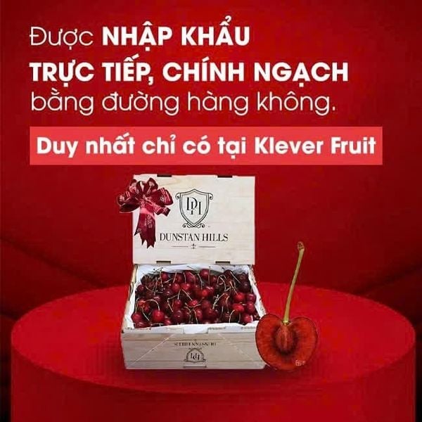 Quả Anh Đào – “Ngôi Sao Mùa Tết 2026”: Giá, Mùa Vụ & Cách Chọn Cherry Ngon