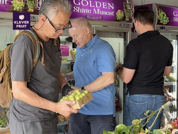 Klever Fruit đón đoàn Hiệp hội Nho tươi Australia: Câu chuyện kết nối từ tâm huyết đến trải nghiệm