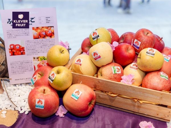 LỄ ĐÓN TIẾP CHỦ TỊCH ZENNOH AOMORI TỚI THĂM KLEVER FRUIT