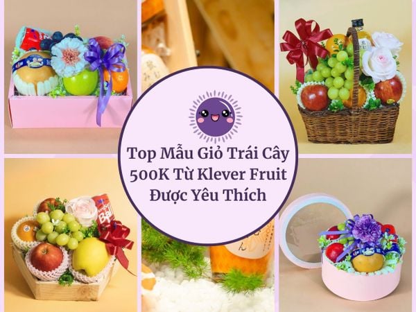 Top Mẫu Giỏ Trái Cây 500K Từ Klever Fruit Được Khách Hàng Yêu Thích