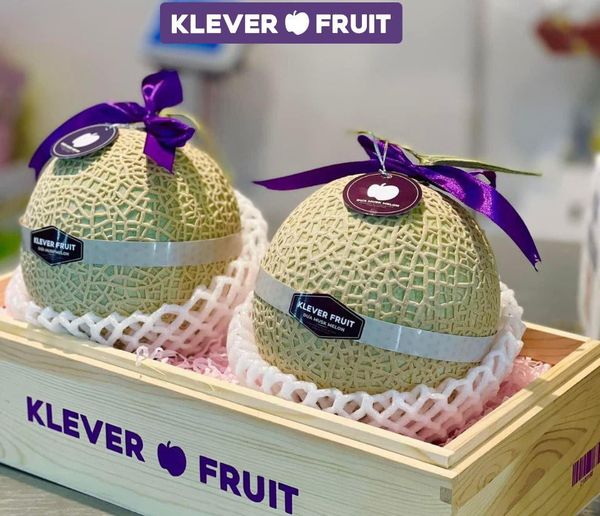 Dưa giống Nhật Musk Melon tại Klever Fruit