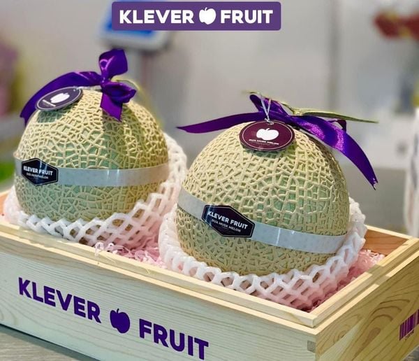 Dưa Giống Nhật Musk Melon được Klever Fruit tuyển chọn từng quả
