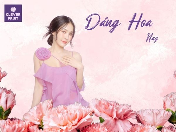 Cẩm Chướng Hồng – tượng trưng cho tình yêu, sự ngọt ngào và lòng biết ơn.