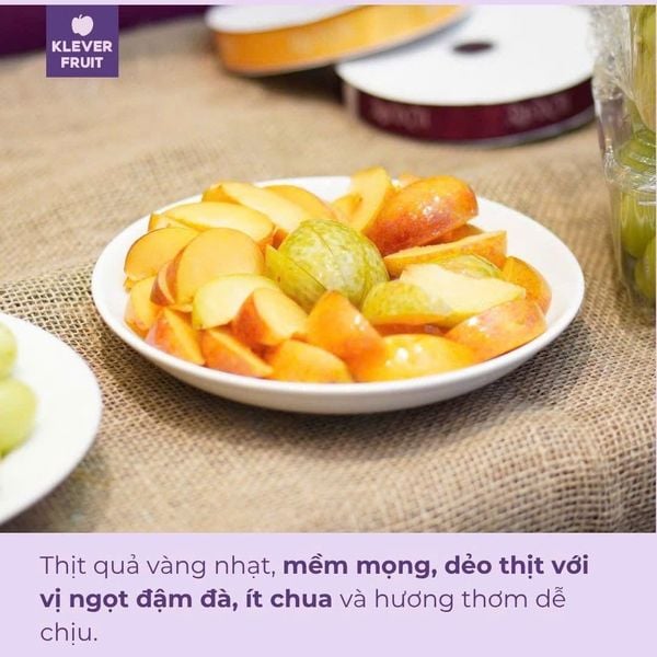 Top Trái Cây Nhập Khẩu Đang Mùa "Đáng Thưởng Thức" Nhất Hè 2026