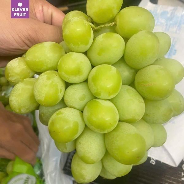 Top Trái Cây Nhập Khẩu Đang Mùa "Đáng Thưởng Thức" Nhất Hè 2026