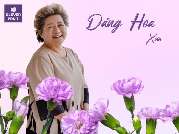 Cẩm Chướng Tím Đậm – sắc hoa của sự tôn kính và bền vững