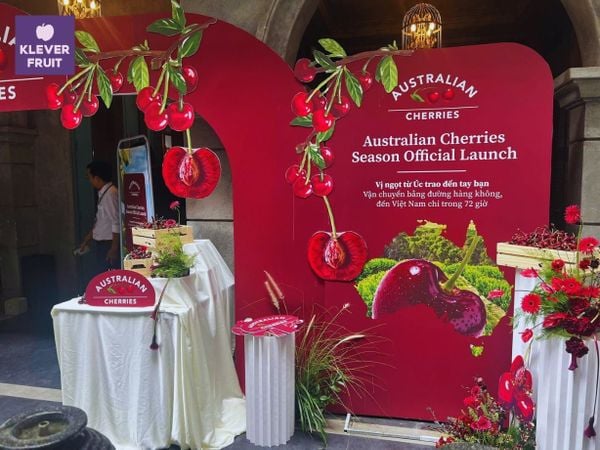 Klever Fruit tại sự kiện ra mắt mùa vụ Cherry Úc 2025