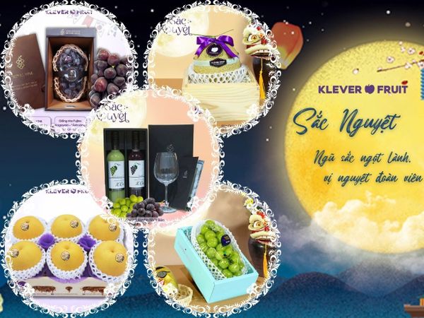 Top 5 Loại Hoa Quả Nhập Khẩu Đáng Mua Làm Quà Tặng Mùa Trung Thu Năm 2025