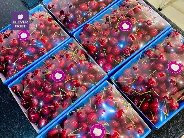 Klever Fruit tham dự sự kiện chào đón trái Việt Quất Úc lần đầu tiên nhập khẩu chính ngạch vào Việt Nam