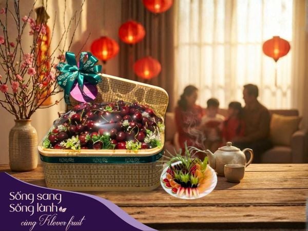 Xu Hướng Quà Tết Bính Ngọ 2026: Khi Quà Sức Khỏe Lên Ngôi