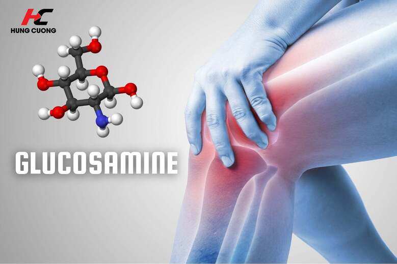 Vai trò của Glucosamine đối với sụn khớp